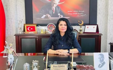 Organize kötülüğü ortaya çıkardı. Türkiye Başsavcıyı konuşuyor