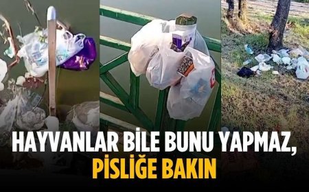 “Hayvanlar bile bunu yapmaz, pisliğe bakın”