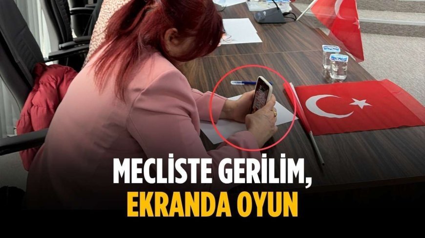 Mecliste gerilim, ekranda oyun