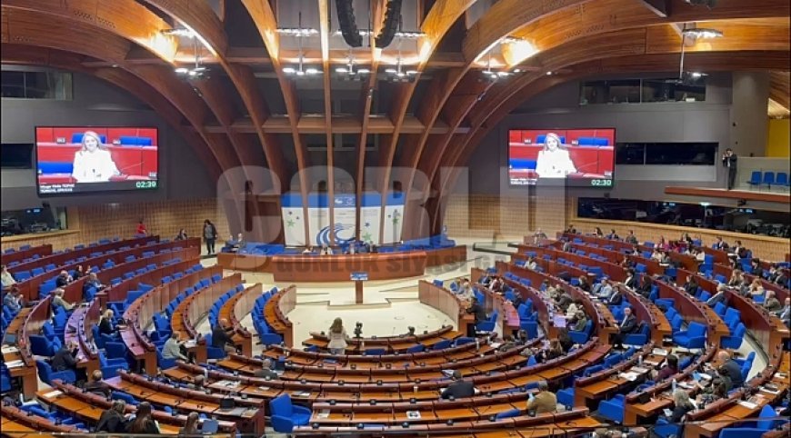 TÜRKİYE’MİZİN VE ERGENE’MİZİN SESİNİ AVRUPA’DA YÜKSELTTİK!