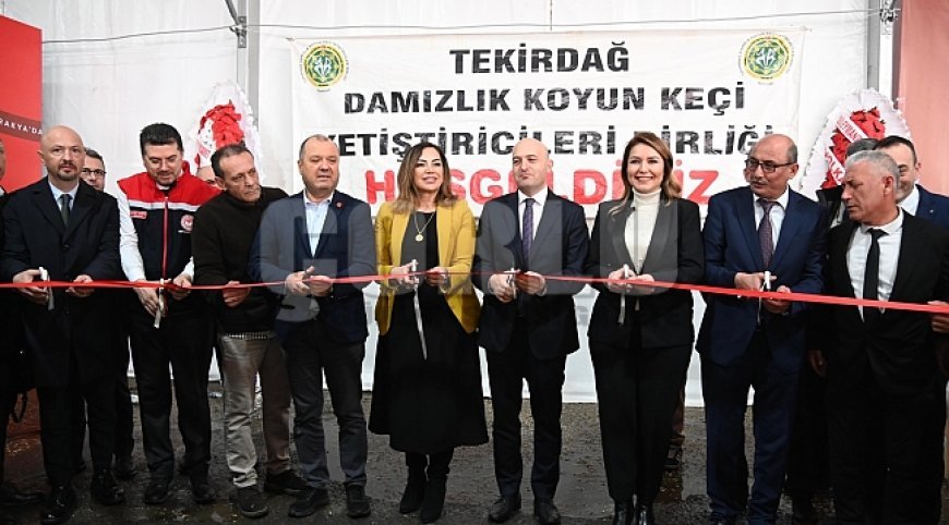TRAKYA’NIN İLK KÜÇÜKBAŞ HAYVANCILIK FESTİVALİ MALKARA’DA COŞKUYLA BAŞLADI