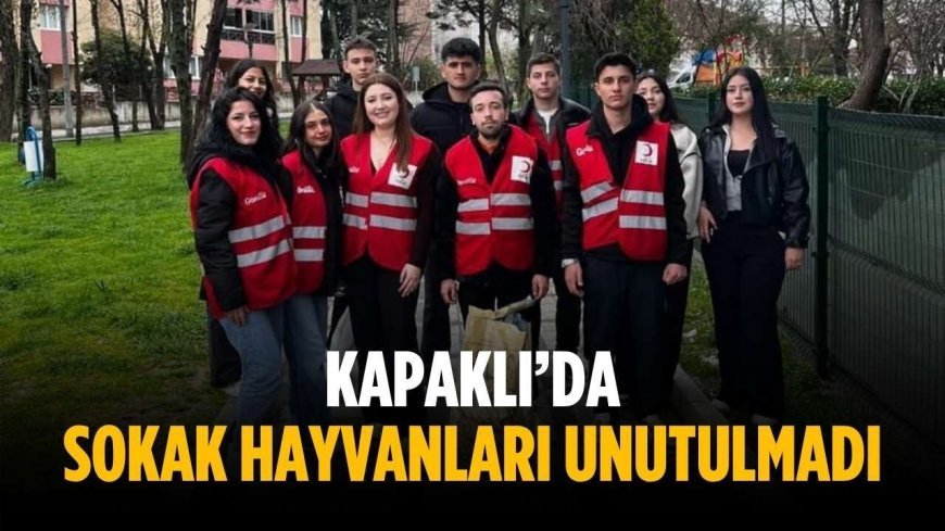 Kapaklı’da sokak hayvanları unutulmadı