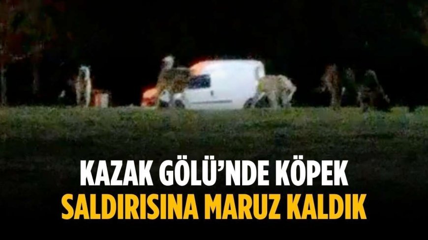 “Kazak Gölü’nde köpek saldırısına maruz kaldık”