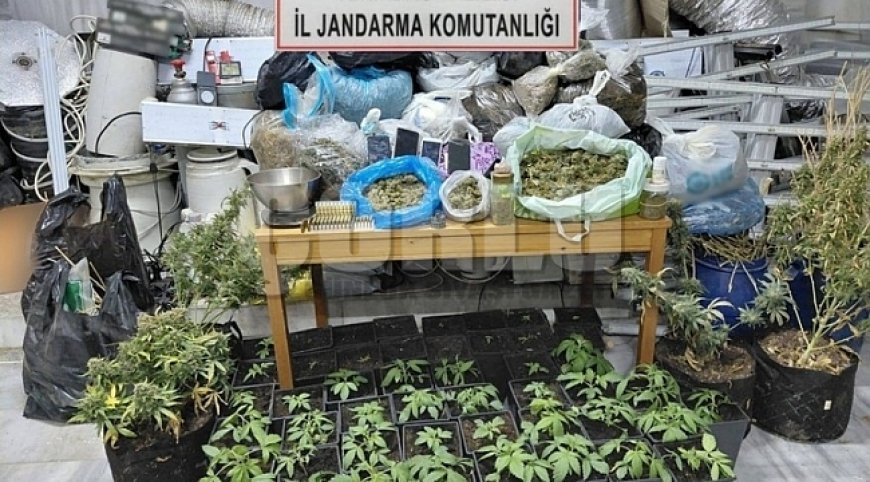 Tekirdağ'da uyuşturucu operasyonu: 1 tutuklama