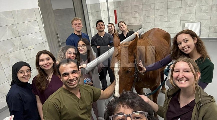 TRAKYA’DA AT SAĞLIĞININ YENİ ÜSSÜ: TNKÜ’DEN BÖLGEYE NİTELİKLİ HİZMET