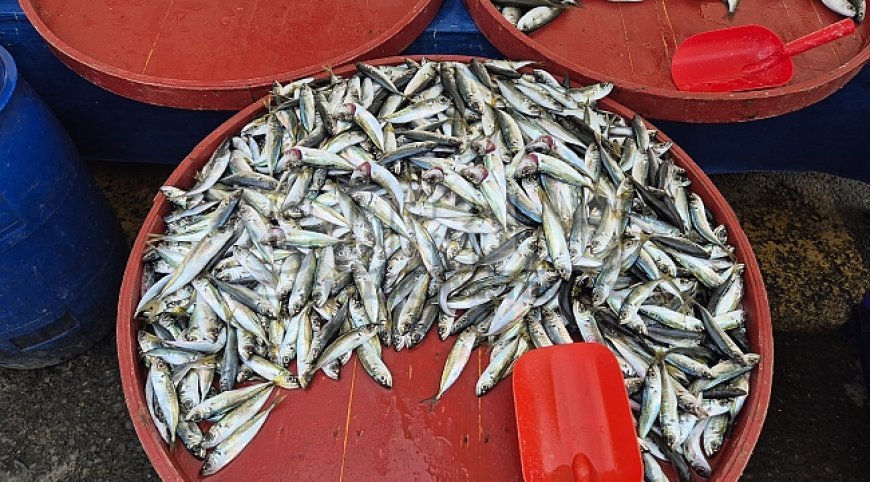 Av yasağı öncesi pazarda yoğunluk