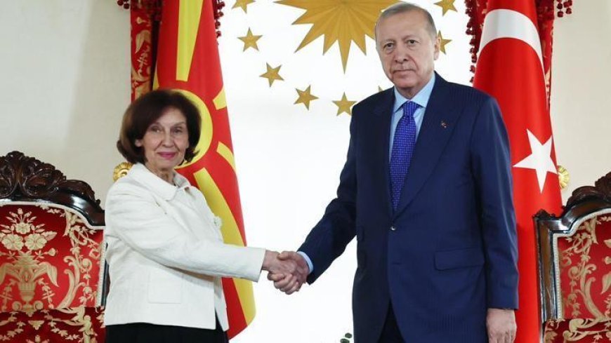 Cumhurbaşkanı Erdoğan Kuzey Makedonya Cumhurbaşkanı Gordana Siljanovska-Davkova ile görüştü