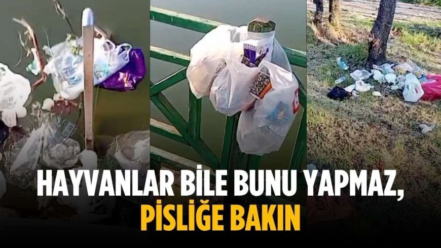 “Hayvanlar bile bunu yapmaz, pisliğe bakın”