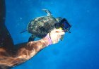 GoPro satılıyor. Çinlilerle mücadele edemedi