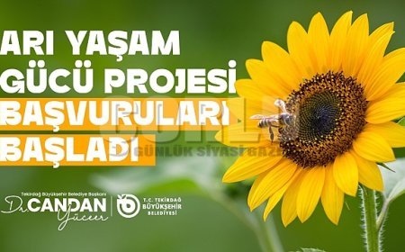 ARI YEMİ DESTEĞİ BAŞVURULARI BAŞLADI