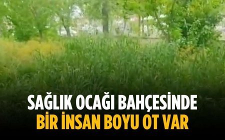 “Sağlık ocağı bahçesinde bir insan boyu ot var”