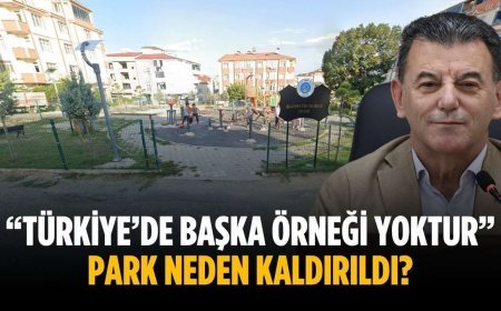 “Türkiye’de başka örneği yoktur” Park neden kaldırıldı?