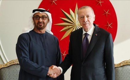 Erdoğan, BAE Devlet Başkanı ile görüştü