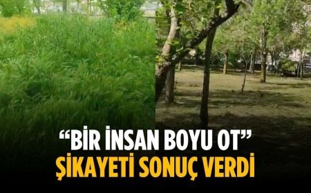“Bir insan boyu ot” Şikayeti sonuç verdi