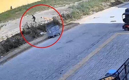 7 yaşındaki Yiğit’in korku dolu anları kamerada! Sokak köpekleri kovaladı: Geceleri ağlayarak uyanıyor