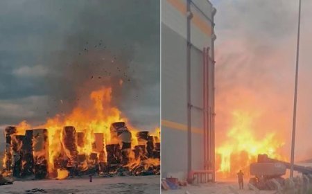 SON DAKİKA! Konya Ereğli OSB’de yangın alarmı: Tonlarca kağıt alev alev yanıyor
