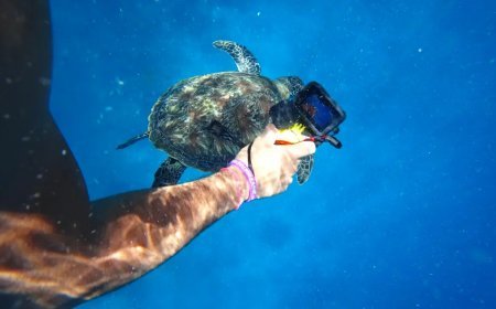 GoPro satılıyor. Çinlilerle mücadele edemedi