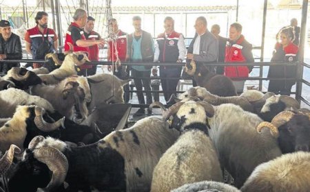 Kurban siz olmayın!