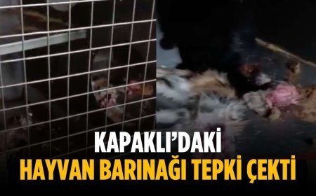 Kapaklı’daki hayvan barınağı tepki çekti