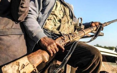 Nijerya'da bu ay 317 terörist ve silahlı çete üyesi etkisiz hale getirildi