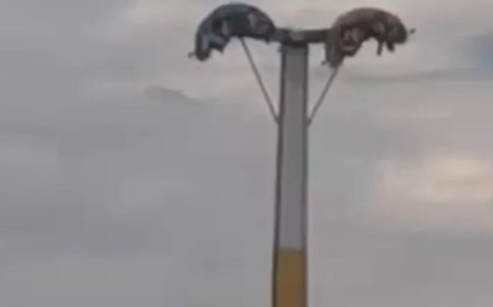 Bayram eğlencesi kabusa döndü. Metrelerce yüksekte baş aşağı kaldılar