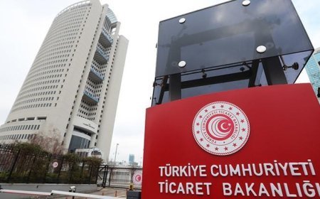 Ticaret Bakanlığı'ndan zeytinin tanesini 50 liraya sattığı tespit edilen satıcıya idari para cezası