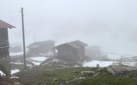 Ardahan'ın yüksek kesimlerinde kar etkili oldu