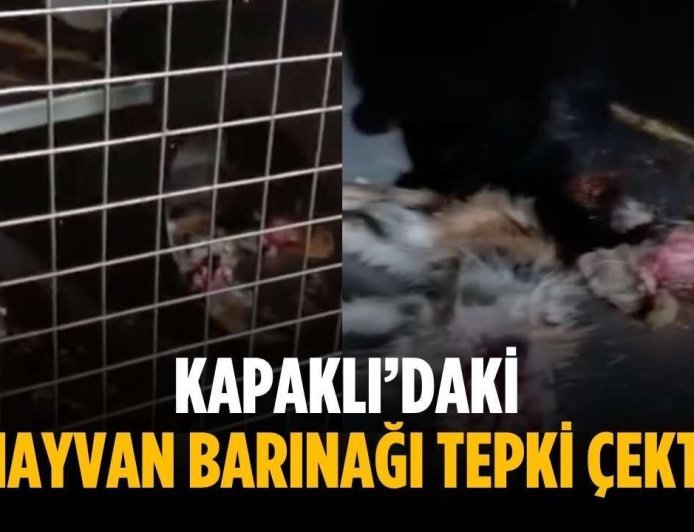 Kapaklı’daki hayvan barınağı tepki çekti