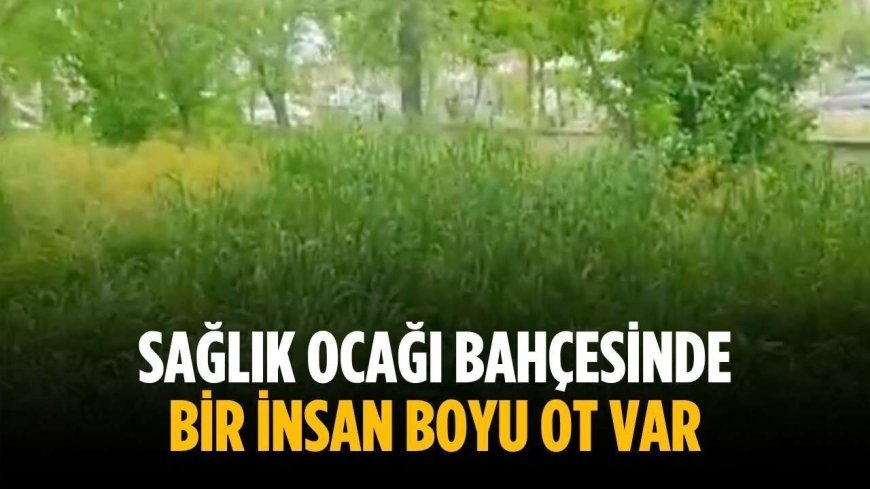 “Sağlık ocağı bahçesinde bir insan boyu ot var”