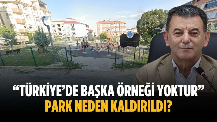 “Türkiye’de başka örneği yoktur” Park neden kaldırıldı?