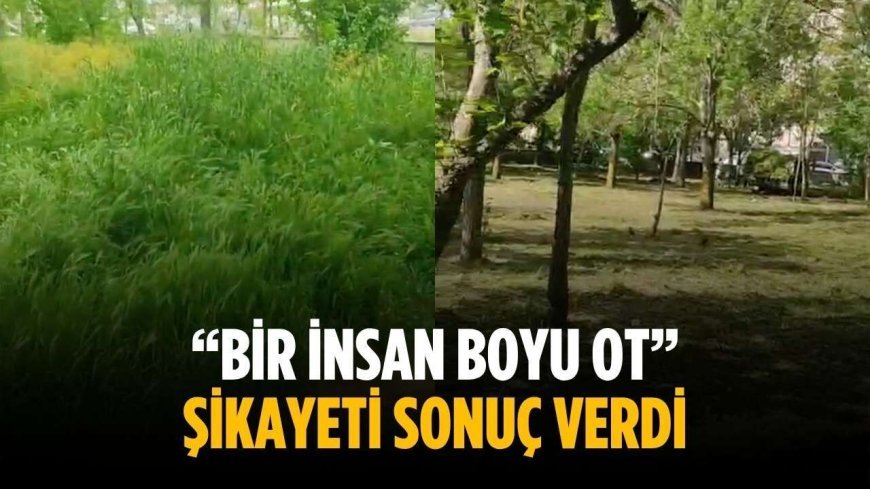“Bir insan boyu ot” Şikayeti sonuç verdi