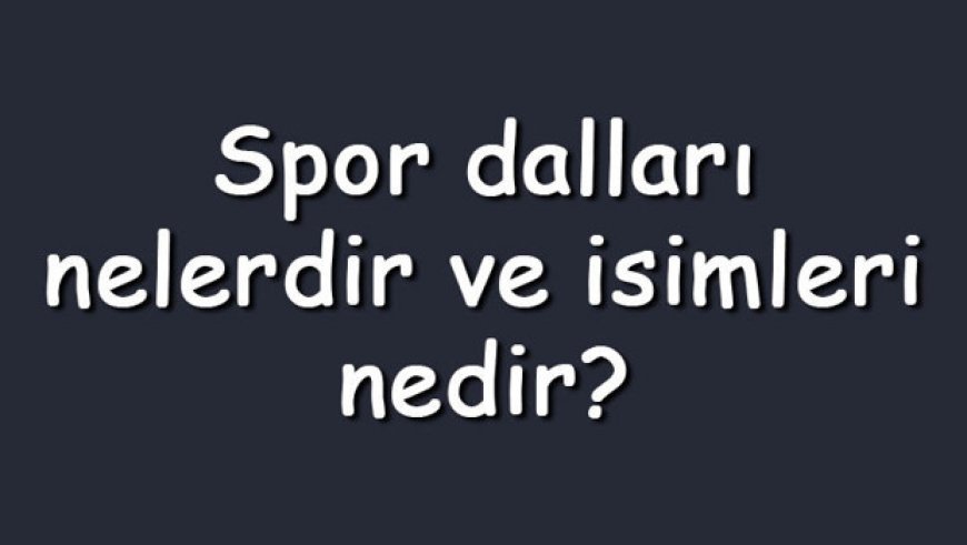 Spor dalları nelerdir ve isimleri nedir? Az bilinen, olimpik, ekstrem ve geleneksel sporlar
