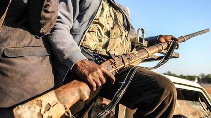 Nijerya'da bu ay 317 terörist ve silahlı çete üyesi etkisiz hale getirildi