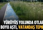Yürüyüş yolunda otlar boyu aştı, vatandaş tepkili