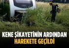 Kene şikayetinin ardından harekete geçildi