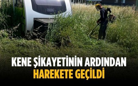 Kene şikayetinin ardından harekete geçildi