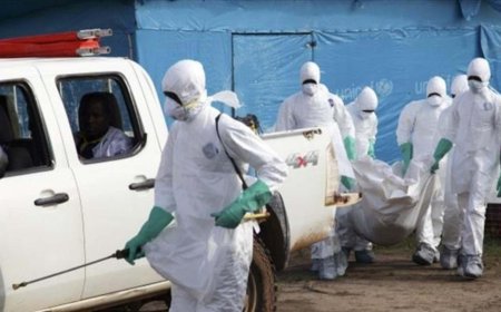 DSÖ'den Ebola alarmı! 676 vaka, 136 ölüm bildirildi